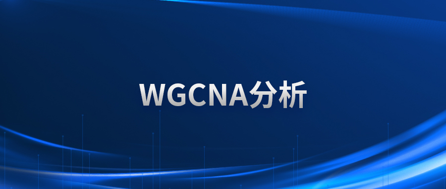 WGCNA分析