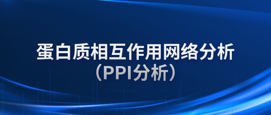 蛋白质相互作用网络分析（PPI分析）