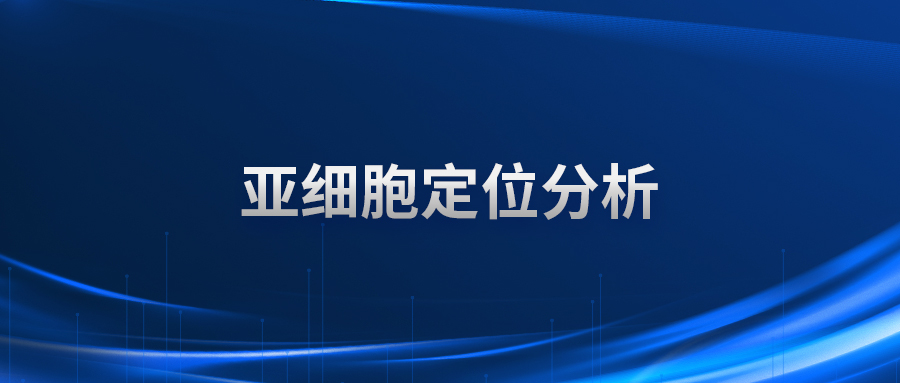 亚细胞定位分析