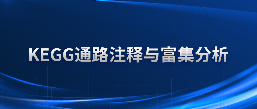 KEGG通路注释与富集分析