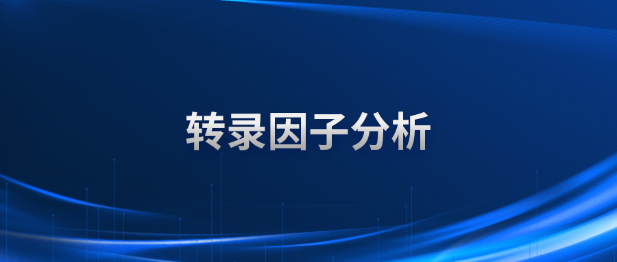 转录因子分析