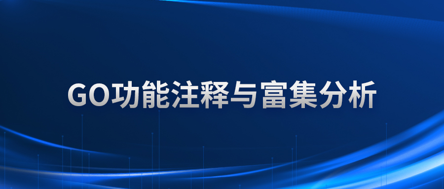 GO功能注释与富集分析