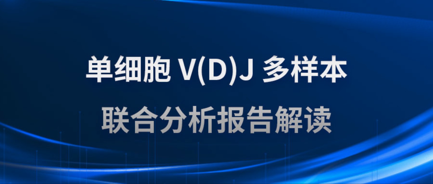 单细胞 V(D)J 多样本联合分析报告解读