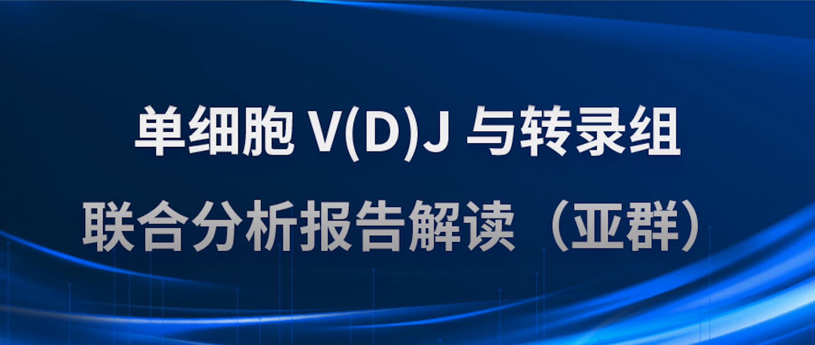 单细胞 V(D)J 与转录组联合分析报告解读（亚群）