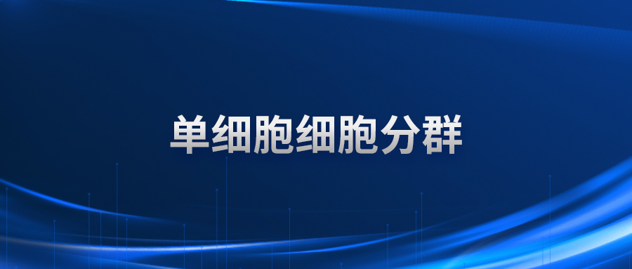 单细胞细胞分群
