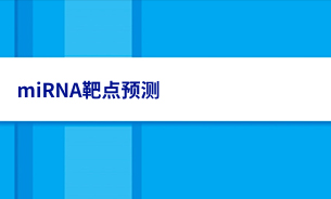 miRNA靶点预测