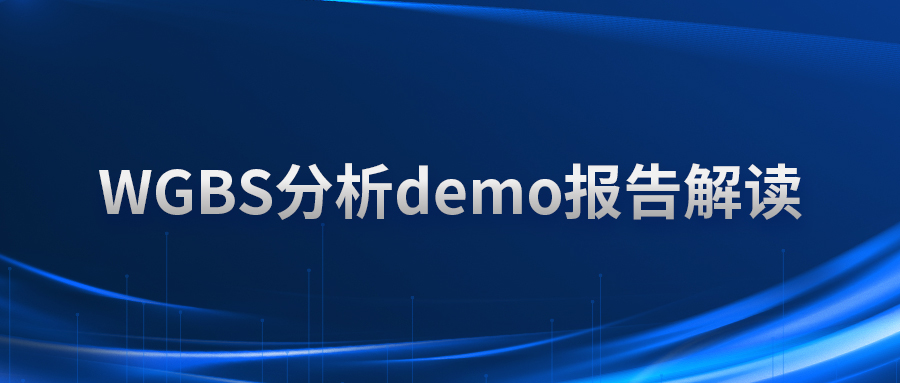 WGBS分析demo报告解读