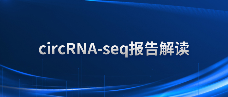 circRNA-seq报告解读