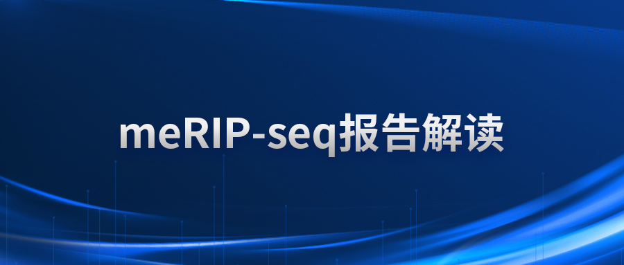 meRIP-seq报告解读