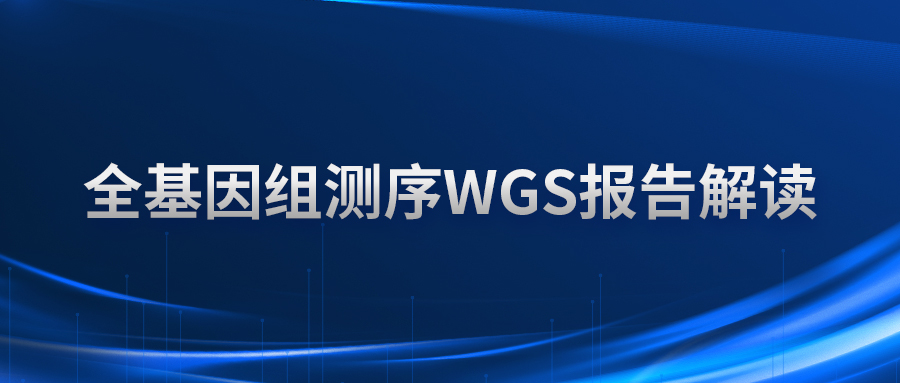 全基因组测序WGS报告解读