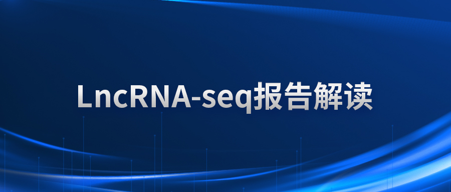 LncRNA-seq报告解读