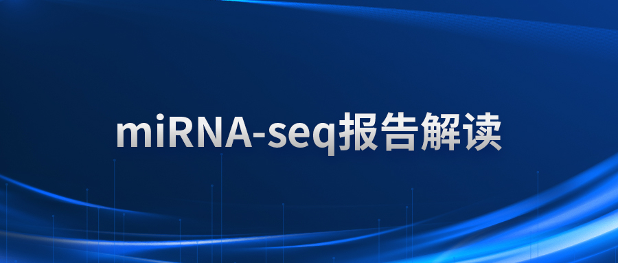 miRNA-seq报告解读