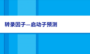 转录因子—启动子预测
