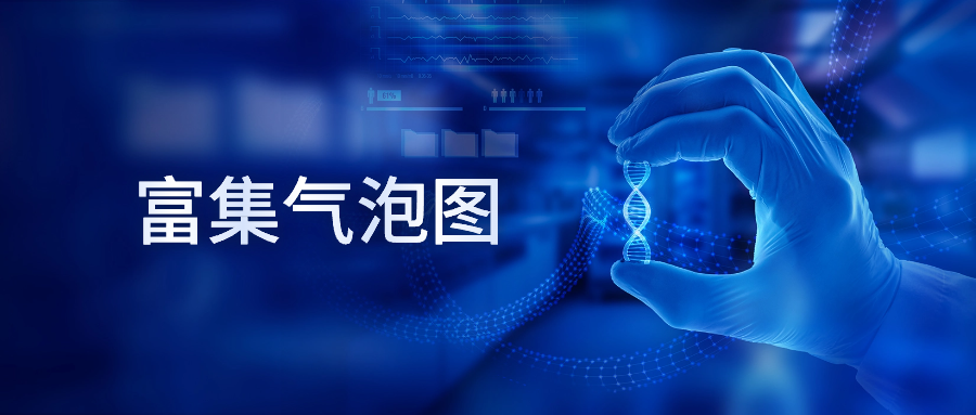 富集气泡图